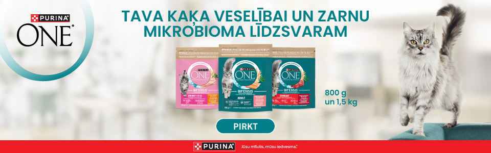 search_purinacat_w43_2025