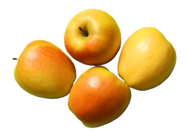 Āboli Rubis Gold 88+ kg