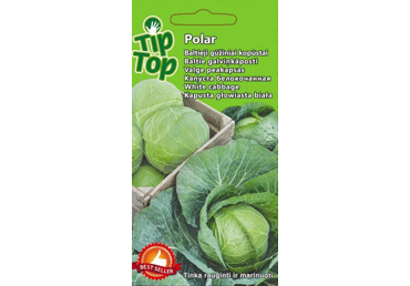Sēklas: Kāposti baltie POLAR gab.