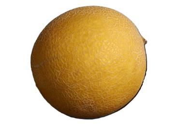 Melones GALIA kg - 1