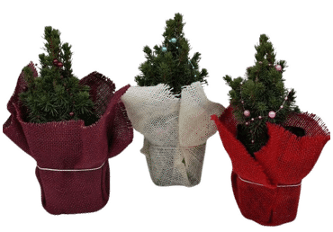 Eglīte ar dekoru D 9cm