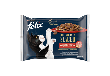 Kons.kaķ.FELIX Deliciously gaļ.izl.4x80g