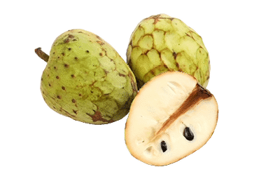 Anone Čerimoja gab. - 1