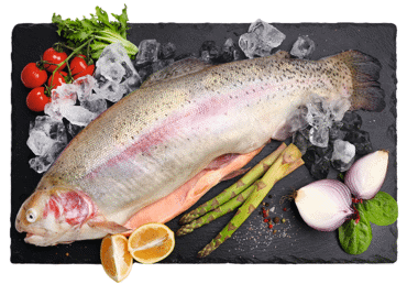 Varavīksnes forele atdzesēta kg 