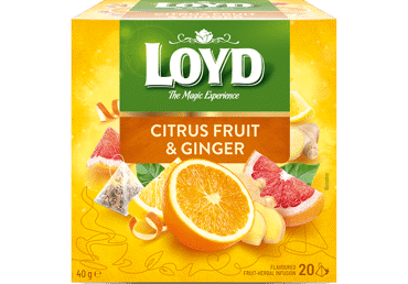 Augļu tēja LOYD Ginger&Citrus 20x2g