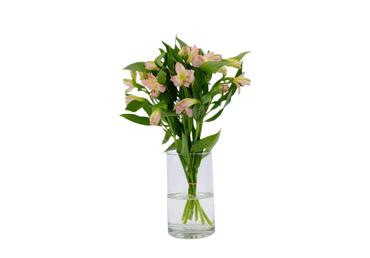 Grieztie ziedi Alstromērijas 7gab.