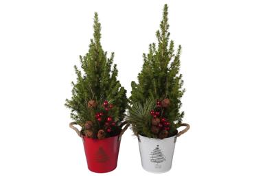 Eglīte podā D 15cm