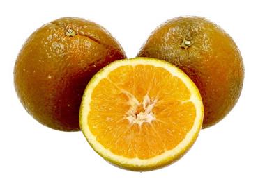 Apelsīni BROWNIE kg - 1