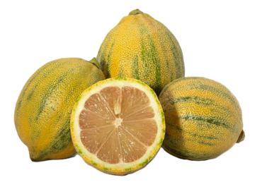 Citroni PINK TIGER 350g