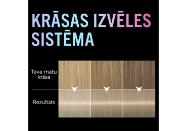 Matu krāsa SYOSS Color 12-53 - 3