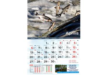 Kalend. A4 MAKŠĶERNIEKU LM - 2