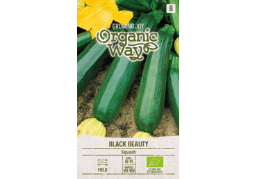 Sēklas: Cukini BLACK BEAUTY gab.