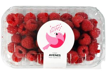 Avenes LATVIJAS 250g - 1