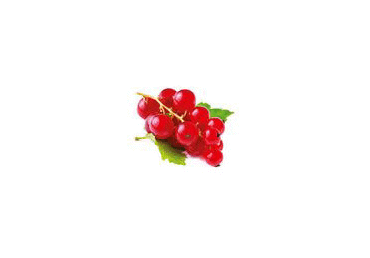 Jāņogas sarkanās  250g