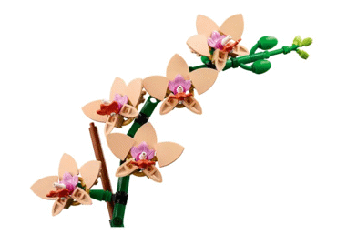 Konstruktors LEGO Mini orhideja 10343 - 3