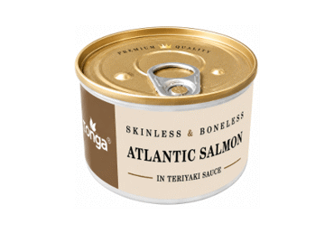 Atlantijas lasis bez ādas terijaki mērcē BANGA 160g