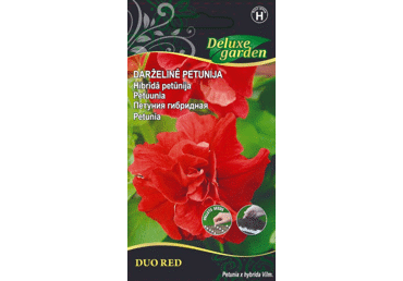 Sēklas: Šaurlapu divsēkle SYLVETTA gab.