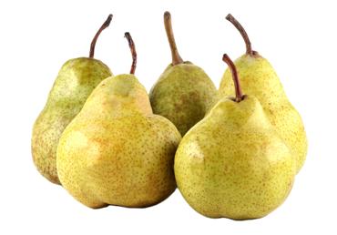 Bumbieri GUYOT kg
