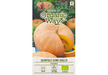 Sēklas: Ķirbis QUINTALE SEME GIALLO gab.