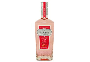 Džins BLEU D'ARGENT GIN STRAWB. 40% 0,7L