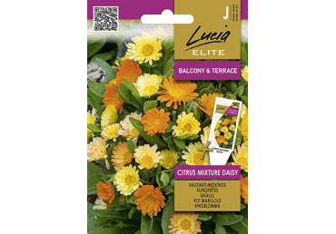 Sēklas.Kliņģerītes Cirtus Mixture gab.