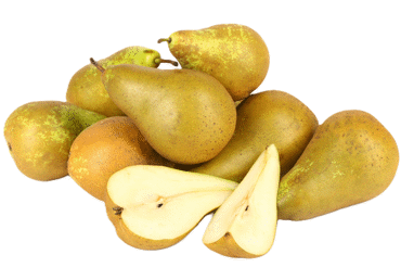 Bumbieri CONFERENCE lielie kg - 2