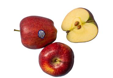 Āboli RED DELICIOUS (CHIEF) 85+ kg