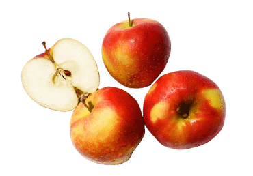 Āboli POLIJAS 65+ kg - 1