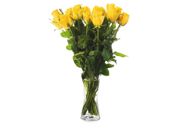 Grieztie ziedi Rozes 15gab. - 1