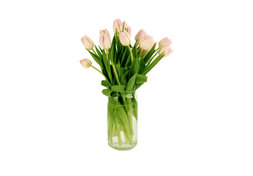 Grieztie ziedi Tulpes 15gab.