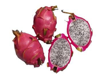 Pitaija sarkana gab. - 1