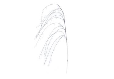 Zariņš-dekorācija ELEMENTS SENSE balta