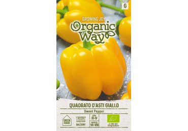 Sēklas: Paprika QUADRATO D'ASTI GIAL gb.