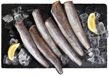 Argentīnas heks atkausēts bez galvas kg 