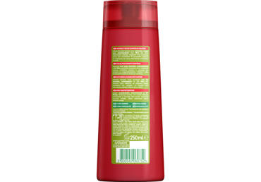 Šamp.GARNIER FRUCTIS Color Resist 250ml - 2