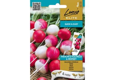 Sēklas: Redīsi FARAON POLONEZA WHITN gb.