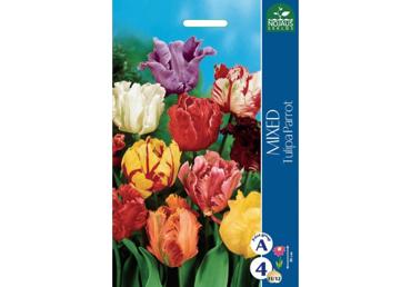 Sīpolpuķes: Tulpes PARROT Mix 5gab.