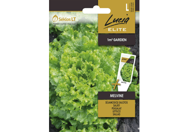 Sēklas: Salāti MELVINE gab.