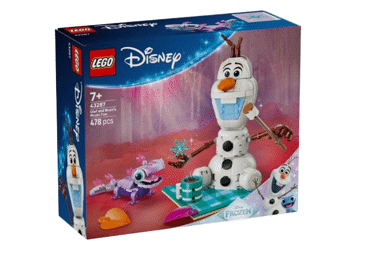 Konstruktors LEGO Olafa un Bruni pikniks 43287