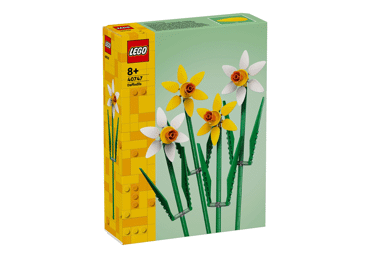Konstruktors LEGO Narcises 40747