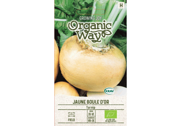 Sēklas: Rācenis JAUNE BOULDE gab.