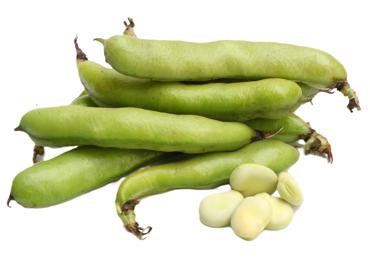 Cūku pupas kg