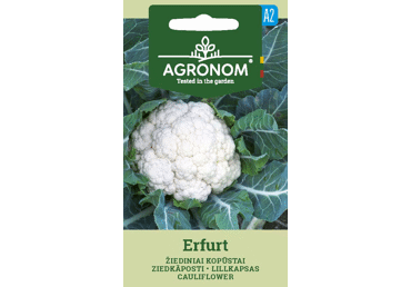 Sēklas: Ziedkāposti ERFURT gab.