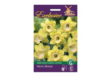 Sīpolpuķes: Tulpes ALEXIS BEAUTY 5gab.