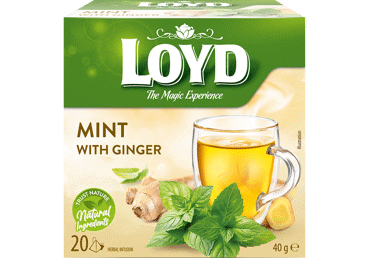 Zāļu tēja LOYD ar piparmētru un ingveru 20x2g