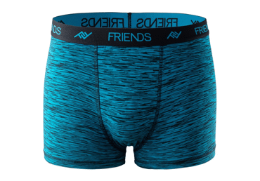 Zēnu bokseršorti FRIENDS 158-164 t.zili