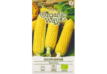 Sēklas: Kukurūza GOLDEN BANTAM gab.