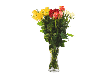 Grieztie ziedi Rozes 9gab.