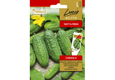 Sēklas: Gurķi īsaugļu CORVETA H gab.
