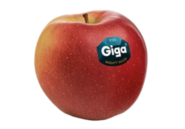 Āboli GIGA 90+ kg - 2